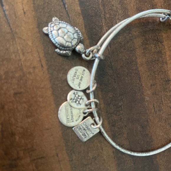 Sea Turtle Charm Bangle in Rafaelian Silver - Picture 3 of 6